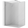 Mexen Kioto-P Walk-in Shower Wall 80 x 200 cm, Transparent 8 mm, Brushed Gun Gray - 800-080-101-66-00-P