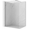 Mexen Kioto-P Walk-in Shower Wall 100 x 200 cm, Transparent 8 mm, Gun Metal - 800-100-101-95-00-P