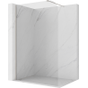 Mexen Kioto-P Walk-in Shower Wall 100 x 200 cm, Transparent 8 mm, Brushed Nickel - 800-100-101-97-00-P