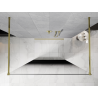 Mexen Kioto freestanding shower screen 100 x 200 cm, black ombre 8 mm, gold - 800-100-002-50-76