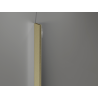 Mexen Kioto-Q Walk-in Shower Wall 110 x 200 cm, Transparent 8 mm, Brushed Gold - 800-110-101-55-00-Q