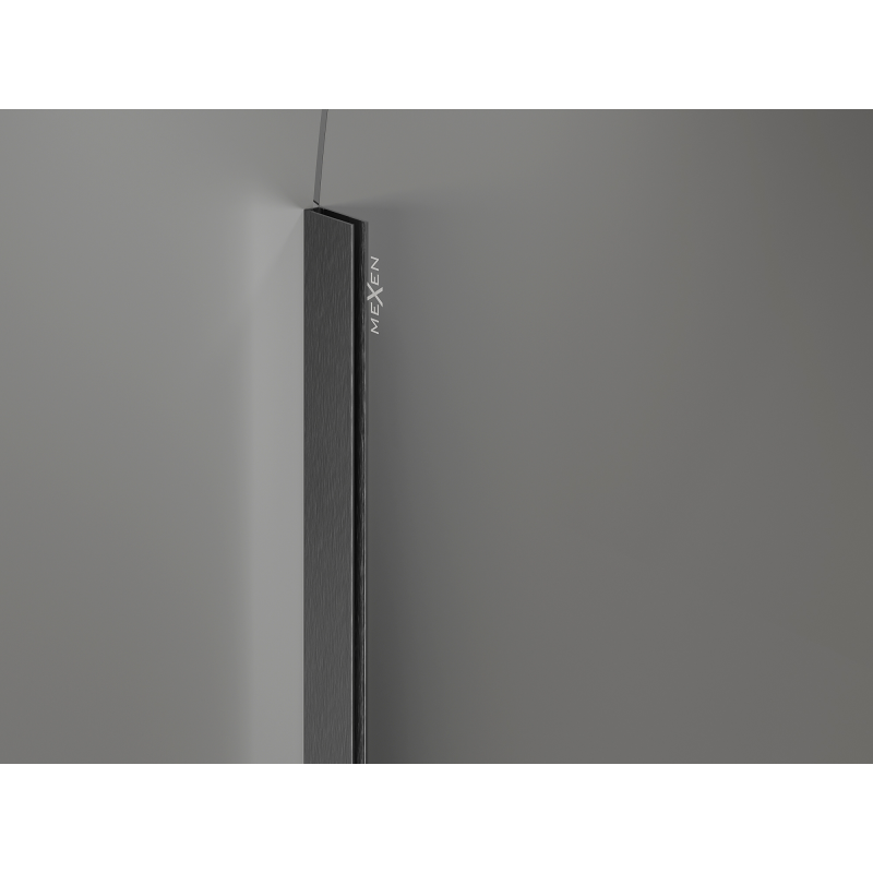 Mexen Kioto-Q Walk-in Shower Wall 120 x 200 cm, Transparent 8 mm, Brushed Gun Gray - 800-120-101-66-00-Q