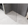 Mexen Kioto-P L Walk-in Shower Wall 80 x 200 cm, Transparent 8 mm, Gold - 800-080-103-50-00-P