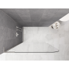 Mexen Kioto-P L Walk-in Shower Wall 80 x 200 cm, Transparent 8 mm, Brushed Nickel - 800-080-103-97-00-P