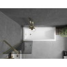 Mexen Next 1-panel bathtub screen 50 x 150 cm, graphite, gold - 895-050-000-00-40-50