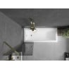 Mexen Next 1-Panel Shower Screen 50 x 150 cm, Graphite, Gold - 895-050-000-00-40-50