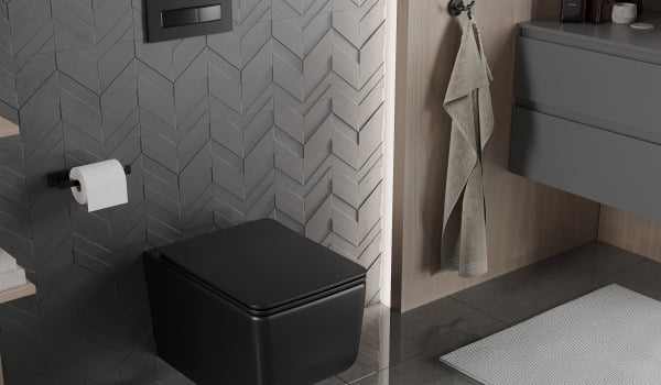 Black Bathroom Fixtures